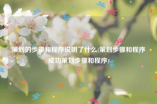 策划的步骤和程序说明了什么(策划步骤和程序成功策划步骤和程序)