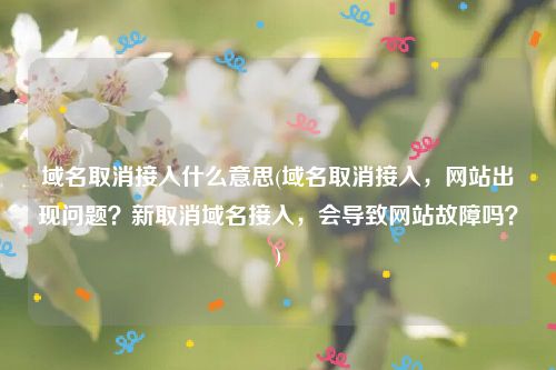 域名取消接入什么意思(域名取消接入，网站出现问题？新取消域名接入，会导致网站故障吗？)