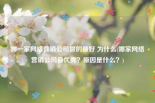 哪一家网络营销公司做的最好 为什么(哪家网络营销公司最优秀？原因是什么？)