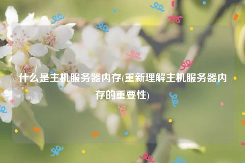 什么是主机服务器内存(重新理解主机服务器内存的重要性)