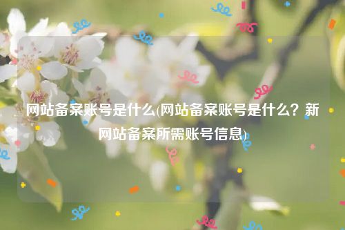 网站备案账号是什么(网站备案账号是什么？新网站备案所需账号信息)