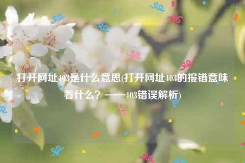 打开网址403是什么意思(打开网址403的报错意味着什么？——403错误解析)