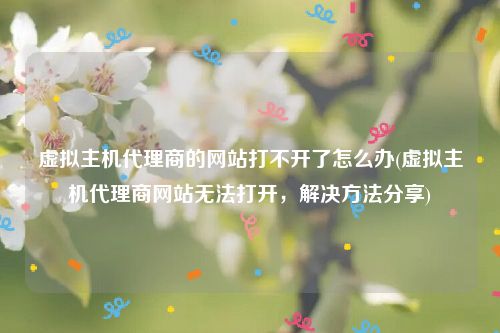 虚拟主机代理商的网站打不开了怎么办(虚拟主机代理商网站无法打开，解决方法分享)