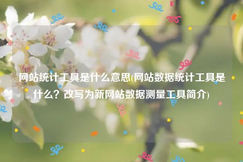 网站统计工具是什么意思(网站数据统计工具是什么？改写为新网站数据测量工具简介)