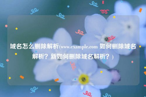 域名怎么删除解析(www.example.com 如何删除域名解析？新如何删除域名解析？)