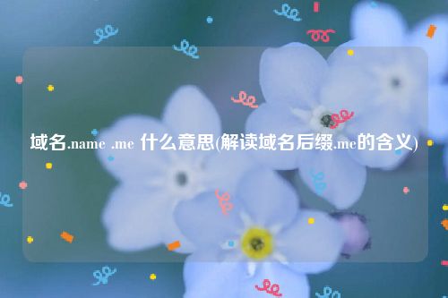 域名.name .me 什么意思(解读域名后缀.me的含义)